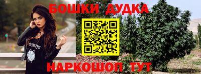 шишки Краснознаменск