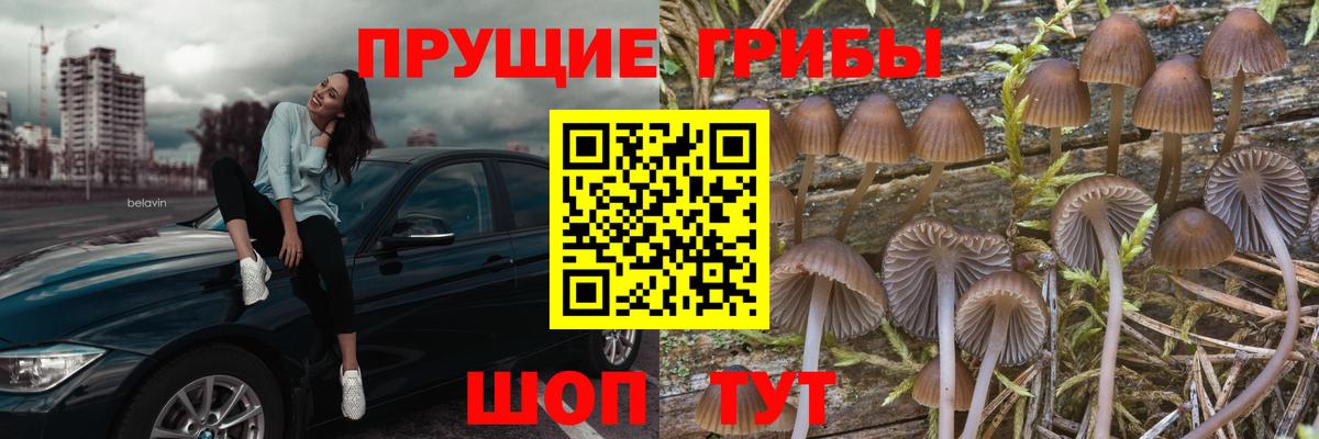 Псилоцибиновые грибы ЛСД  Псилоцибиновые грибы Psilocybine cubensis  Котлас  Вход с VPN 