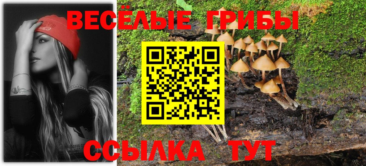 Псилоцибиновые грибы мухоморы Котлас